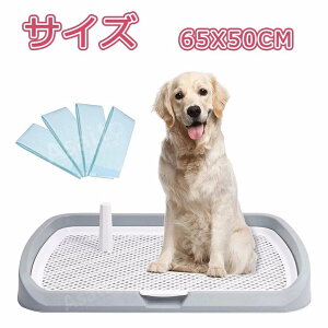 ^gC pgC gC  EH[   |[ ybggCC[ Ch }[LO|[tgC g[ t`t g[jO  ^ bV 