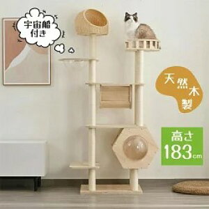 Lbg^[ u^ ؐ FDt L^[ lR^[  183cm B ܂Ƃ|[ glt lR ^[  gȒP ^[ VRؐ  ^L qL 
