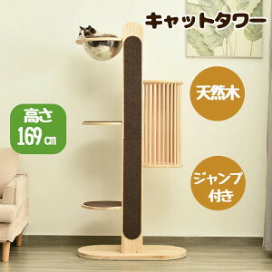 Lbg^[ u^ ؐ FDt 169cm L^[ lR^[ B ܂Ƃ lR ^[   ^[ VR   ^L qL ^s