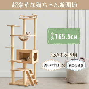 Lbg^[ ؐ FD u  165.5cm  Lbg^[ ؐ ^ R ܂Ƃ{[ Lxbh SS ybgpi