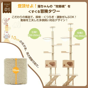 Lbg^[ ˂ ^ FDt ؐ 艺肵₷ S230-250cm R ybgpi ^s B W]  VR  LnEX ^L qL Lxbh SS y