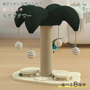 Vpi L ܂Ƃ |[ ɑ O {  Zbg  u ܂݂ XgX   xbh ybgxbh ܂₷ ܌