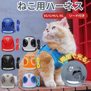 L n[lX Ȃ EȂ  bV ЊQ  ^ ^ ^ ybgpi  xg [ht   TCYLx Jo ɂȂ S