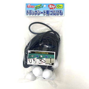 gbNV[gp S Ђ oh ȒP ʕt R SR 10{ TR-10