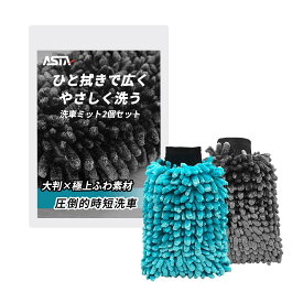ASTA 洗車ミット 2個セット ボディ用・ホイール用 洗車グローブ ホイールミット 大判 厚手 高密度マイクロファイバーシェニール 超吸水 速乾 泡立ち抜群 泡キープ 傷つけにくい 内装・外装対応 両面使用 洗濯機OK 手洗い洗車 車用クリーニングミット 洗車用品 洗車グッズ