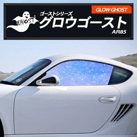 グロウゴースト91 運転席 助手席 マツダ 適合 MAZDA6 セダン GJEFP　2019，9〜 カーフィルム カット済み