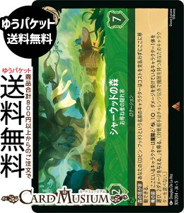 fBYj[Ji V[Ebh̐X_qˎ҂̉B(A) SHIMMERING SKIES@X̋Pi101/204j Disney LORCANA | fBYj[ Ji Gh -