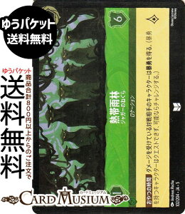 fBYj[Ji MщJ_WK[̂˂(tHCEAR) SHIMMERING SKIES@X̋Pi102/204j Disney LORCANA | fBYj[ Ji Gh -