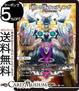 fG}X^[Y ujv̒@EFfBO(X[p[A) GLTCeBOEfGpEfbL cgDXg͐ƌ炤iDM25-BD6j DuelMasters | fG }X^[Y fG} [