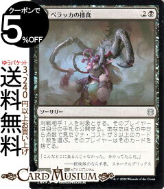 楽天市場 黒 土地 Mtgの通販