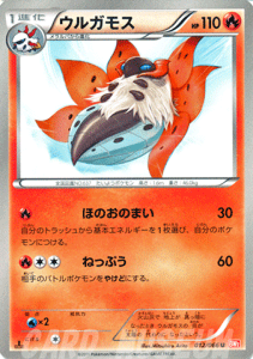 楽天市場 ポケモンカードゲーム Bw ウルガモス レッドコレクション Bw2 Pokemon ポケモン カード ポケモンカード ポケカ ポケットモンスター Bw 拡張パック 拡張 パック レッド コレクション カードミュージアム 楽天市場店