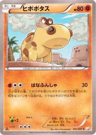 楽天市場 ポケモンxy 伝説 ポケモンの通販