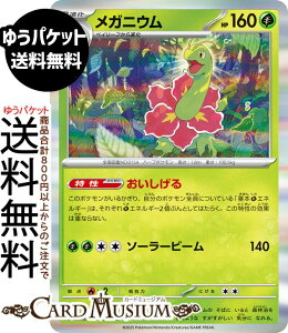 |PJ[hQ[ KjE R M1S gpbN KVtHjA (005/063) Pokemon | |PJ[h |PJ |PbgX^[ I  2i