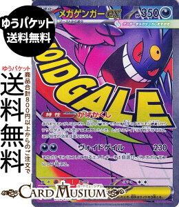 |PJ[hQ[ KQK[ex MA M2a nCNXpbN MEGAh[ex@(230/193)@ Pokemon |@|PJ[h |PJ |PbgX^[@  2i