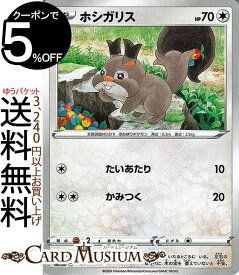 楽天市場 ポケットモンスター ホシガリスの通販