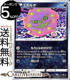 楽天市場 ポケモン ミカルゲ 弱点の通販