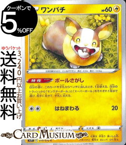 |PJ[hQ[ p` C s5I gpbN ꌂ}X^[ \[h&V[h Pokemon |PJ[h |PJ |PbgX^[  ˃|P