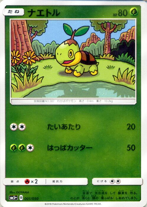 ポケモンカードゲーム Sm5 強化拡張パック ウルトラフォース ナエトル ポケモン カード ポケモンカード ポケカ ポケットモンスター Sm サン ムーン サンアンドムーン サンムーン サン ムーン 拡張パック 拡張 パック フォース Product Details Japanese Proxy