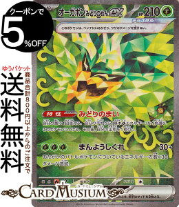 |PJ[hQ[ I[K|ex(݂ǂ̂߂) SAR sv6 gpbN ό̉ (125/101) XJ[bg&oCIbg Pokemon | |PJ[h |PJ |PbgX^[  ˃|P