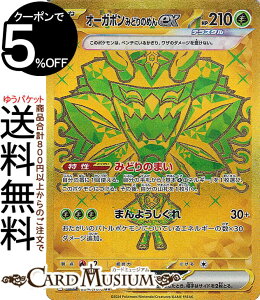 |PJ[hQ[ I[K| ݂ǂ̂߂ex UR sv8a nCNXpbN eX^tFXex (234/187) XJ[bg&oCIbg Pokemon | |PJ[h |PJ |PbgX^[  