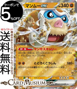 |PJ[hQ[ }[ex RR sv9 gpbN ogp[gi[Y (046/100) XJ[bg&oCIbg Pokemon | |PJ[h |PJ |PbgX^[ I  2i