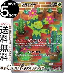 |PJ[hQ[ }Jb` AR sv9 gpbN ogp[gi[Y (101/100) XJ[bg&oCIbg Pokemon | |PJ[h |PJ |PbgX^[ I  ˃|P