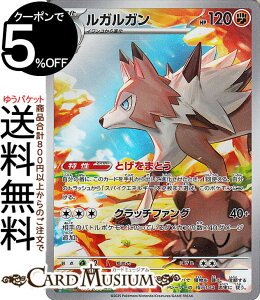 |PJ[hQ[ KK AR sv9 gpbN ogp[gi[Y (107/100) XJ[bg&oCIbg Pokemon | |PJ[h |PJ |PbgX^[ I  1i