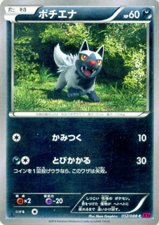 楽天市場 ポケモンカードゲーム Xy ポチエナ Xy4 ファントムゲート Xy4 Pokemon ポケモン カード ポケモンカード ポケカ ポケットモンスター Xy 拡張パック 拡張 パック ファントム ゲート カードミュージアム 楽天市場店