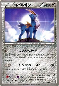 |PJ[hQ[ XY RoI/THE BEST OF XY Pokemon | |P J[h |PJ[h |PJ |PbgX^[ XY nCNX pbN HE BEST OF XY