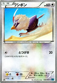 美しい ポケモン サンムーン ワシボン 100 イラスト