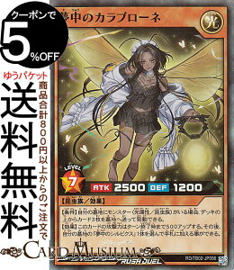 VYbVfG ̃Ju[l(X[p[A) gvrhpbN G{[VECpNgiTB02j | ʃX^[   X[p[ A