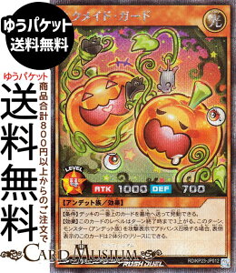 VYbVfG lNChEK[h(V[NbgA) ṼMAX`[WiKP23j | ʃX^[  Afbg V[Nbg A