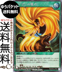 VYbVfG CI̋V(V[NbgA) ṼMAX`[WiKP23j | ʏ V[Nbg A