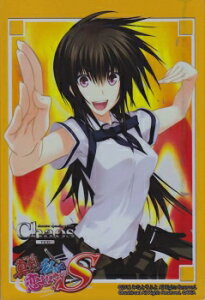 ChaosTCG ^ŎɗȂIS X[u ܂S i  ݂ȂƂӂ