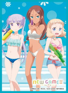 vVX[Y \Ly[uNEW GAME!!vt20 X[u SLV-PM-0020 v j