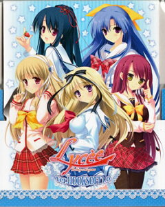 �V���o�[�u���b�c ���Z �o�[�W����HOOKSOFT1.0 �����V���[�g�X�g���[�W�{�b�N�X