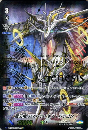 ラッシュ ガード カード ヴァン