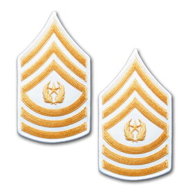 アメリカ 陸軍 階級 アメリカ軍の階級と出世システムを知りたいです Amp Petmd Com