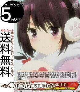 @CXV@c ₩gCAO c̎vo (SR) AYT/W110-038S | @CX V@c LN^[ Ďs dޏ