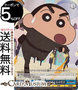 @CXV@c fN񂿂 ANVXpC ̂(SR) CS/S114-091S | @CX V@c N LN^[ Ƒ ct