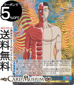 @CXV@c TVAjw___x Y(SR) DDD/S118-088S | @CX V@c LN^[  l̖͌^
