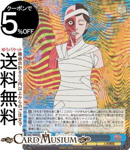 @CXV@c TVAjw___x (SR) DDD/S118-089S | @CX V@c LN^[  l̖͌^