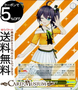 @CXV@c zCuv_NV ĐF܂ SR HOL/W91-014S | @CX V@c  LN^[ zCu 1