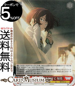 @CXV@c qCI [ɔw m(SR) MKI/W126-055S | @CX V@c LN^[ t }PC