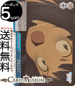 @CXV@c qCI C!!(RRR) MKI/W126-100R | @CX V@c NC}bNX