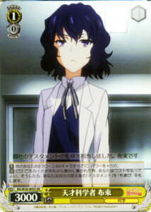 @CXV@c ƂȊw̒dCS VˉȊw z ( SR ) RG/W26-005 | @CX V@c J[hƂ [K  LN^[