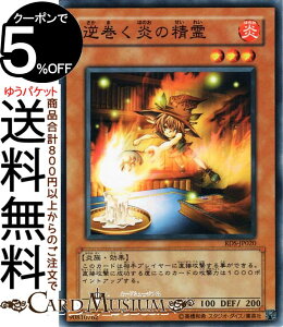 VYJ[h t̐(m[}) RISE OF DESTINYRDS Yugioh! | VY J[h CYEIuEfXeBj[ ʃX^[  