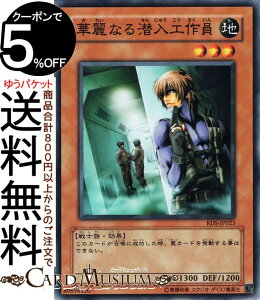 VYJ[h ؗȂH(m[}) RISE OF DESTINYRDS Yugioh! | VY J[h CYEIuEfXeBj[ ʃX^[ n m