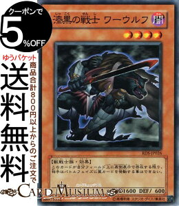 VYJ[h ̐m [Et(m[}) RISE OF DESTINYRDS Yugioh! | VY J[h CYEIuEfXeBj[ ʃX^[ ő bm