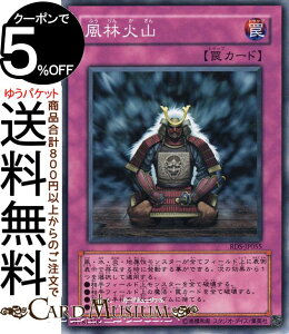 VYJ[h щΎR(m[}) RISE OF DESTINYRDS Yugioh! | VY J[h CYEIuEfXeBj[ ʏ